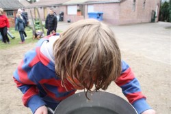 Weeekend - Toneelvereniging Plankenkoorts 